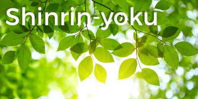 Shinrin-yoku